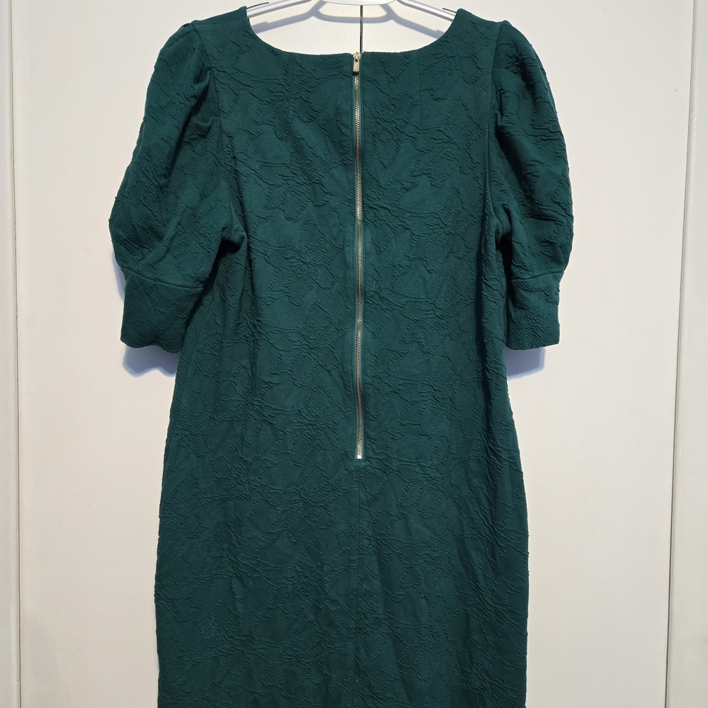 Lilly Pulitzer Green Textured Puff Sleeve Dress - Picture 5 of 8